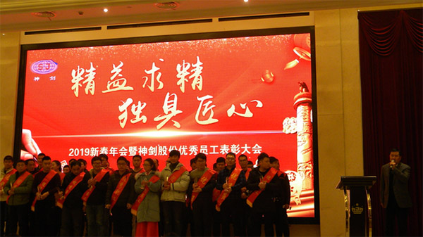 腾博会游戏网站股份2019年度新春年会暨优异员工表扬大会圆满召开