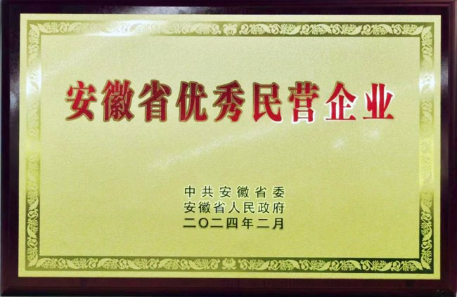 热烈祝贺腾博会游戏网站股份荣获安徽省优异民营企业称呼